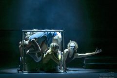 20240407_Folie_M-acro_07451-scaled