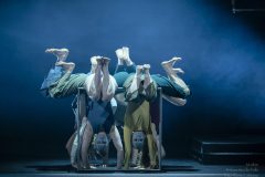 20240407_Folie_M-acro_07477-scaled