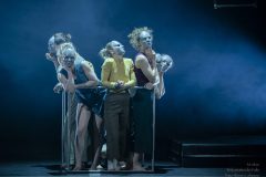 20240407_Folie_M-acro_07501-scaled