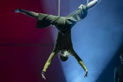 20240407_Folie_M-acro_07936-scaled