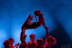 20240407_Folie_M-acro_08167-scaled