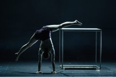 20240407_Folie_M-acro_09570-scaled